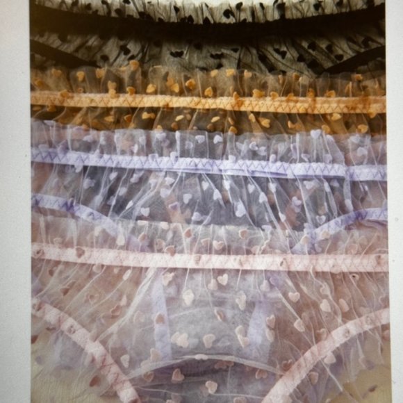 Brand New Plus 5-pack Heart Print Mesh Multicolored Panty Set (14) 1XL - Picture 2 of 5